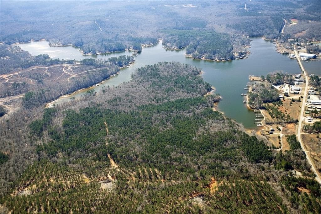 unimproved land for sale at 0 AL-49 Highway, Dadeville, AL 36853 — photo 6