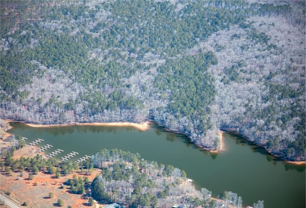 unimproved land for sale at 0 AL-49 Highway, Dadeville, AL 36853 — photo 8