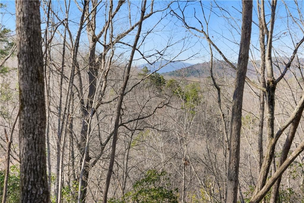 unimproved land for sale at 0 Mill Run, Sautee Nacoochee, GA 30571 — photo 2