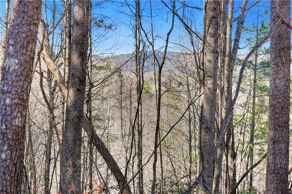 unimproved land for sale at 0 Mill Run, Sautee Nacoochee, GA 30571 — photo 4