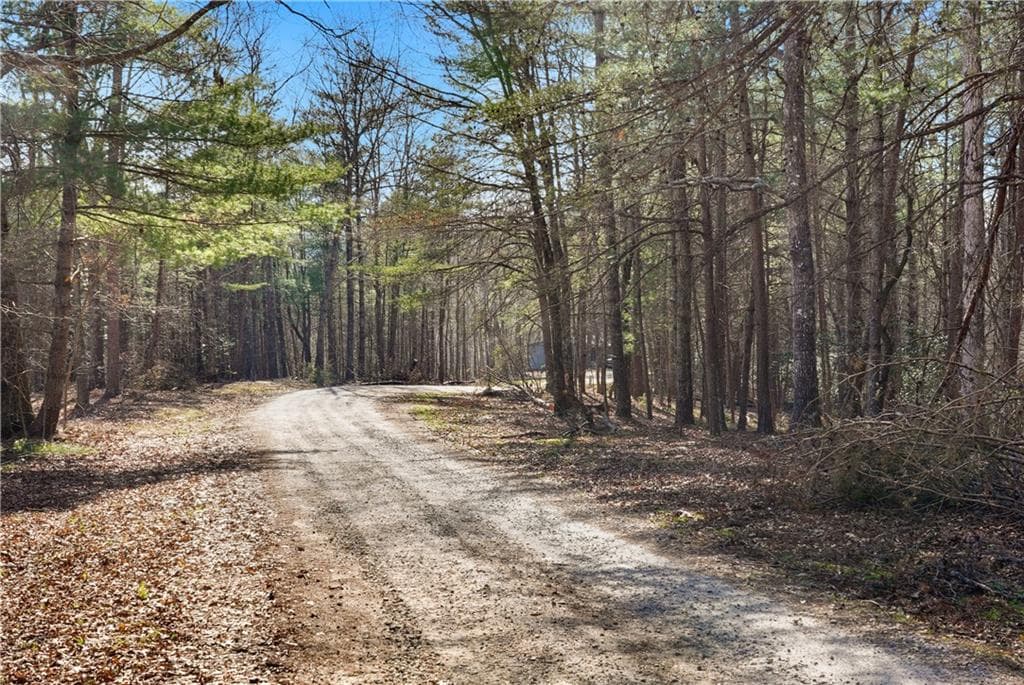 unimproved land for sale at 0 Mill Run, Sautee Nacoochee, GA 30571 — photo 5