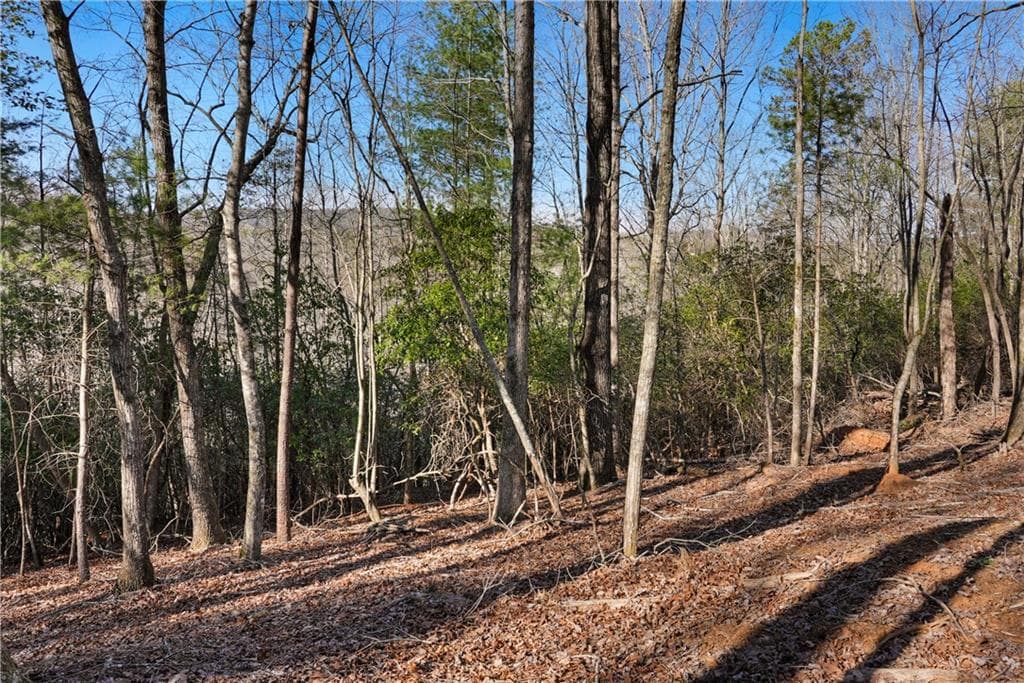 unimproved land for sale at 0 Mill Run, Sautee Nacoochee, GA 30571 — photo 6