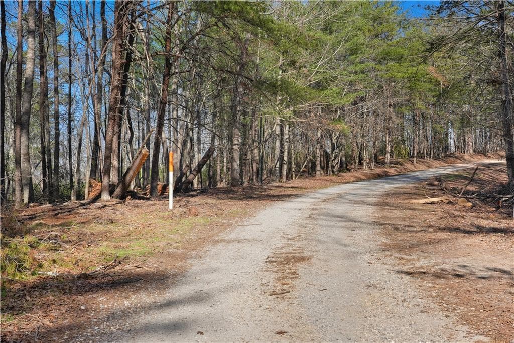 unimproved land for sale at 0 Mill Run, Sautee Nacoochee, GA 30571 — photo 7