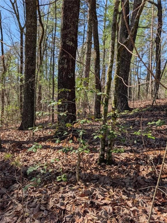 other for sale at 0 Amber Lane, Ellijay, GA 30540
