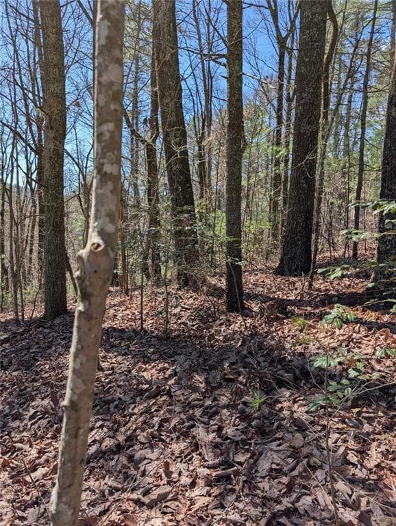 other for sale at 0 Amber Lane, Ellijay, GA 30540 — photo 2