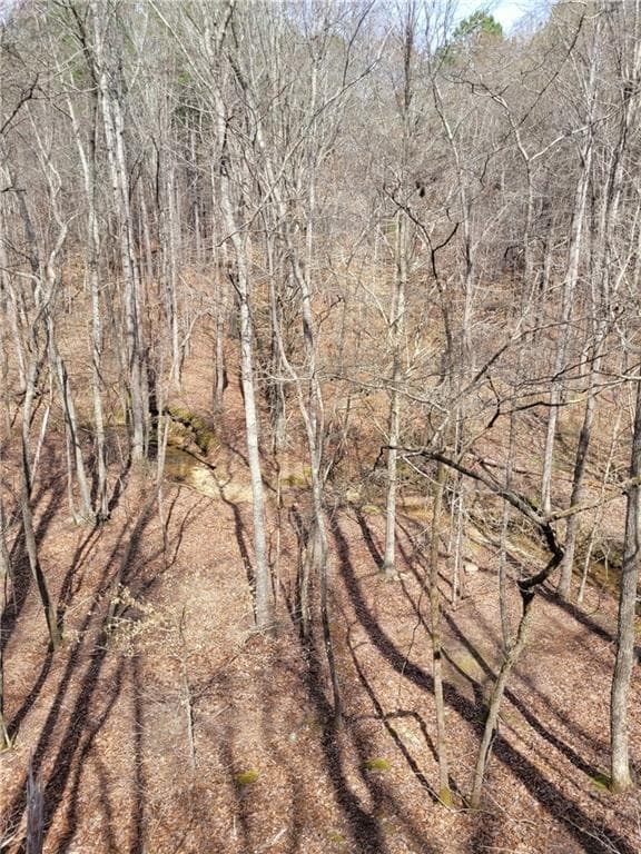 unimproved land for sale at 2600 McPherson Church Road, Dallas, GA 30132 — photo 2