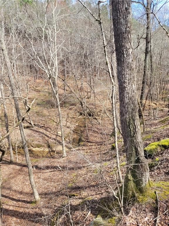 unimproved land for sale at 2600 McPherson Church Road, Dallas, GA 30132 — photo 5
