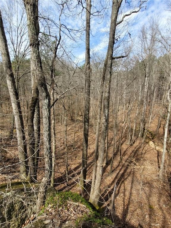 unimproved land for sale at 2600 McPherson Church Road, Dallas, GA 30132 — photo 6