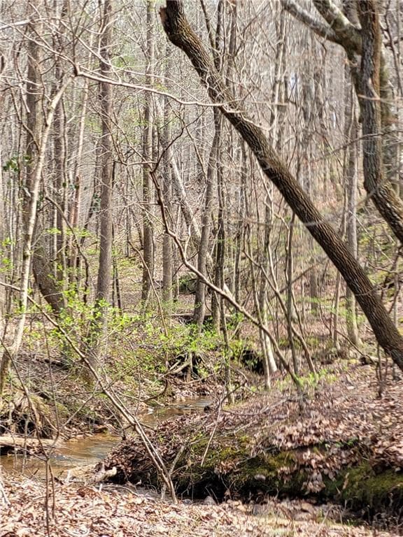 unimproved land for sale at 2600 McPherson Church Road, Dallas, GA 30132 — photo 7