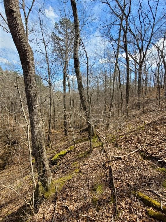 unimproved land for sale at 2600 McPherson Church Road, Dallas, GA 30132 — photo 8