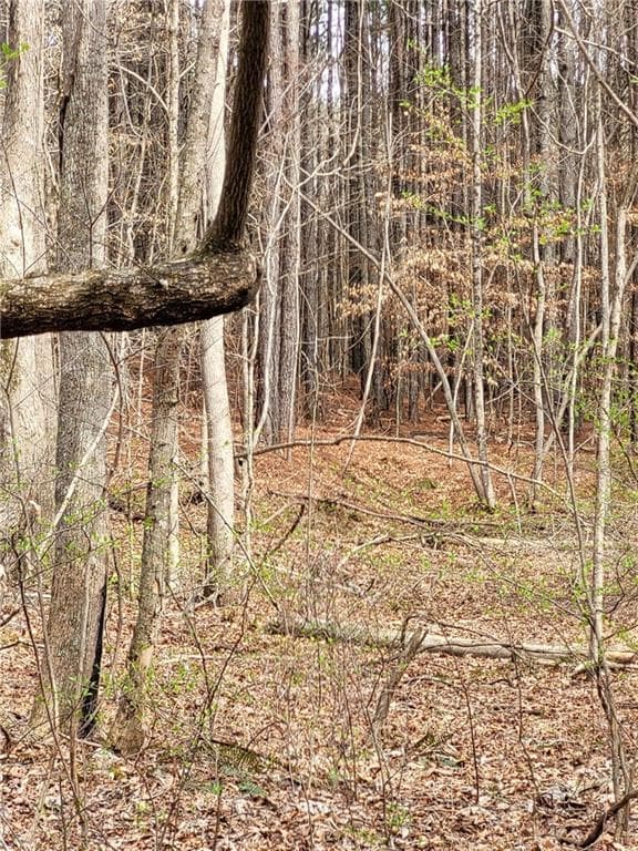 unimproved land for sale at 2600 McPherson Church Road, Dallas, GA 30132 — photo 9
