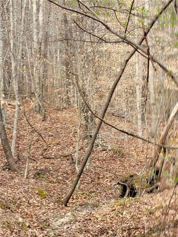 unimproved land for sale at 2600 McPherson Church Road, Dallas, GA 30132 — photo 10