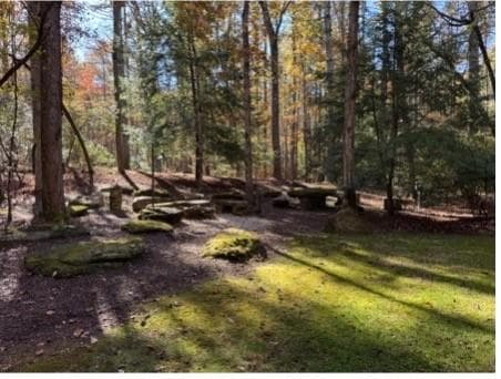 other for sale at 2320 Hardman Road, Clarkesville, GA 30523 — photo 7