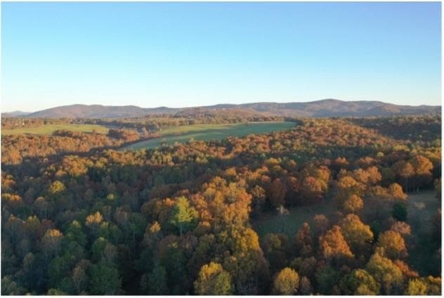 other for sale at 2320 Hardman Road, Clarkesville, GA 30523 — photo 3