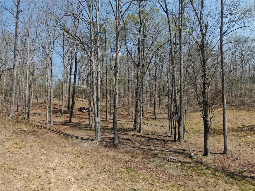 single family residence for sale at 918 Purvis Road, Baldwin, GA 30511 — photo 9