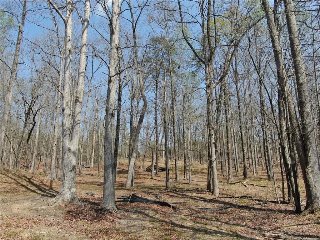 single family residence for sale at 918 Purvis Road, Baldwin, GA 30511 — photo 10