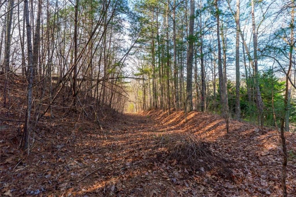 single family residence for sale at 14 Hawks Branch Lane, White, GA 30184 — photo 7