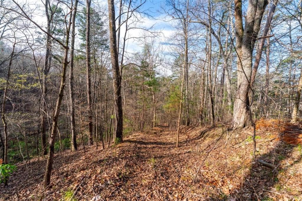 single family residence for sale at 14 Hawks Branch Lane, White, GA 30184 — photo 8