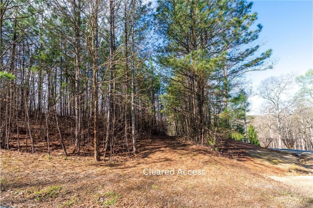 single family residence for sale at 14 Hawks Branch Lane, White, GA 30184 — photo 6