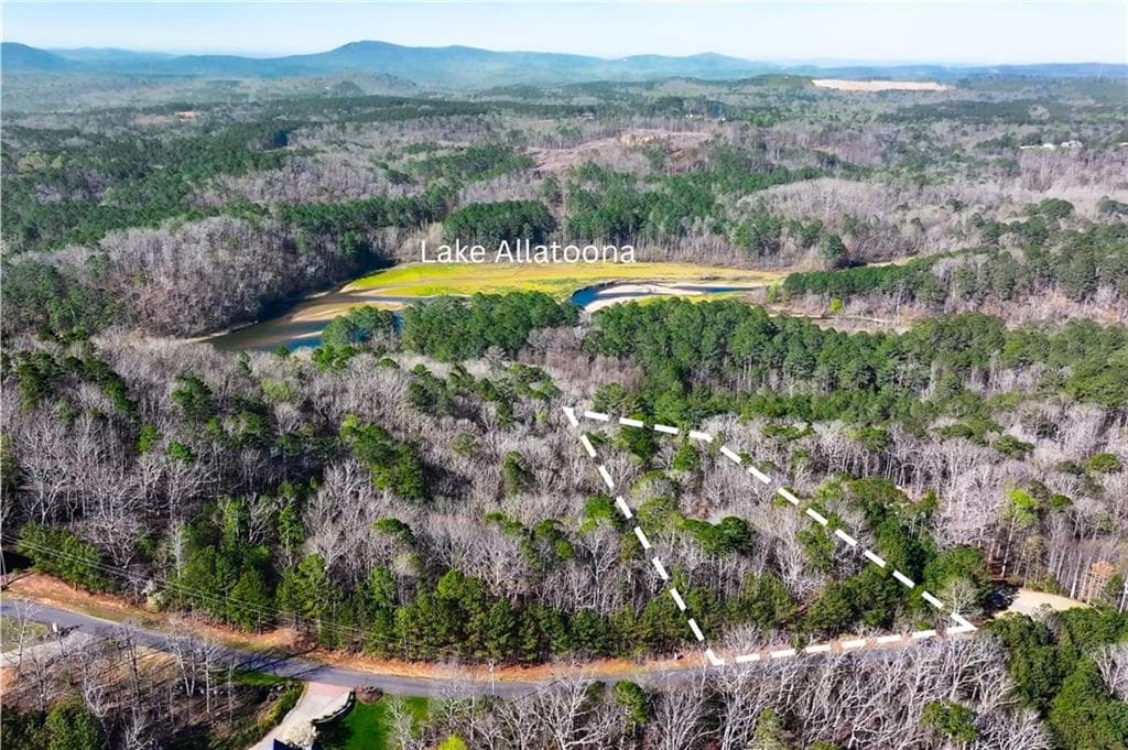 single family residence for sale at 14 Hawks Branch Lane, White, GA 30184 — photo 2