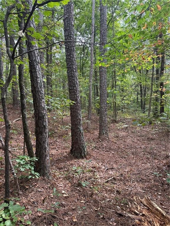 single family residence sold at 3842 Salacoa-Tract A, Waleska, GA 30183
