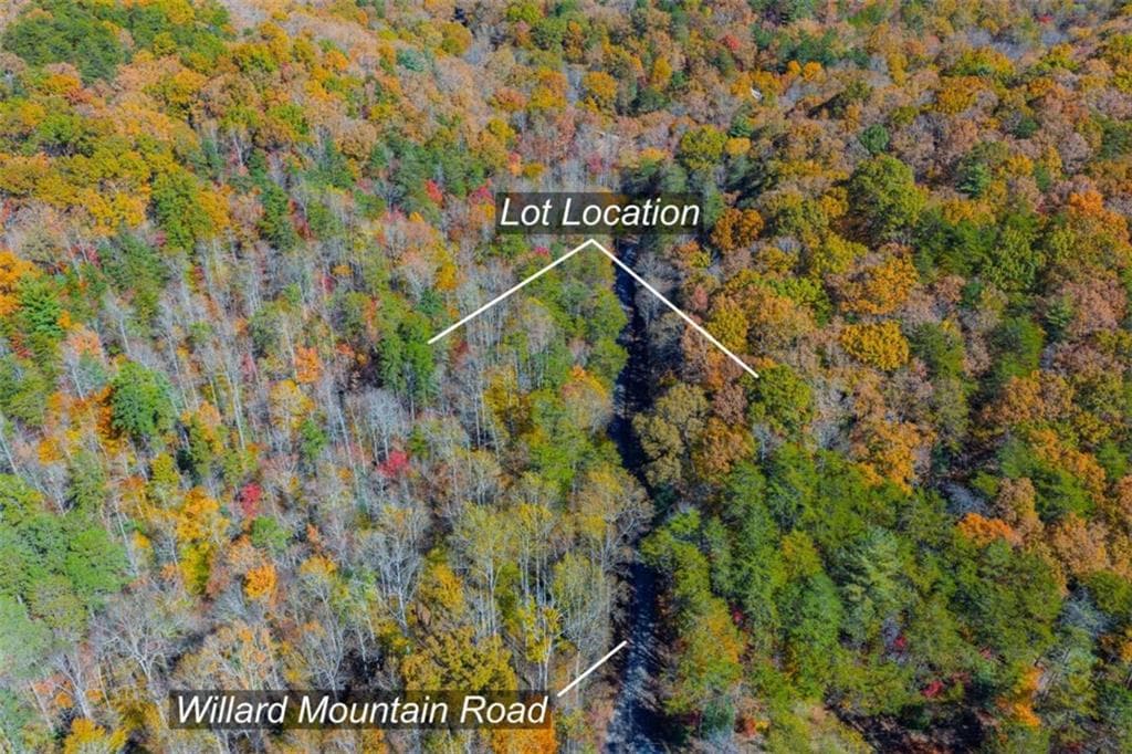 single family residence for sale at N/A Willard Mountain Road, Ellijay, GA 30513 — photo 2