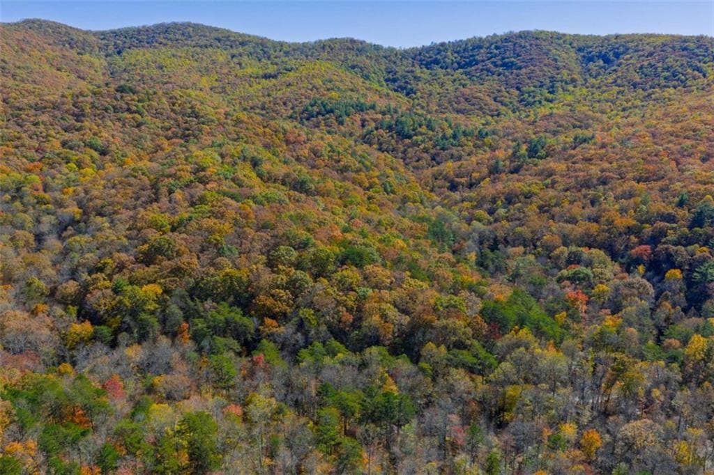 single family residence for sale at N/A Willard Mountain Road, Ellijay, GA 30513 — photo 3