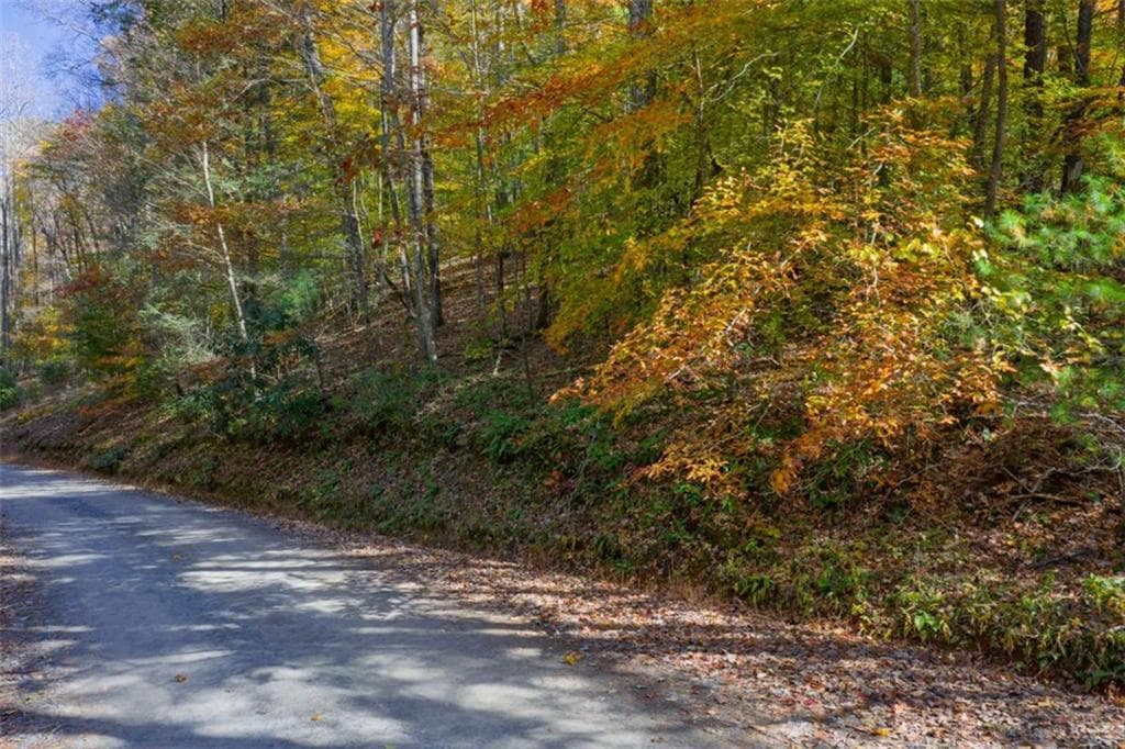 single family residence for sale at N/A Willard Mountain Road, Ellijay, GA 30513 — photo 5