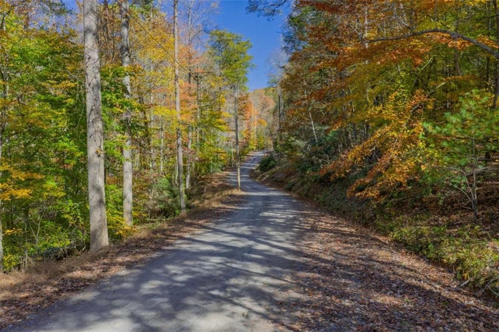 single family residence for sale at N/A Willard Mountain Road, Ellijay, GA 30513 — photo 6