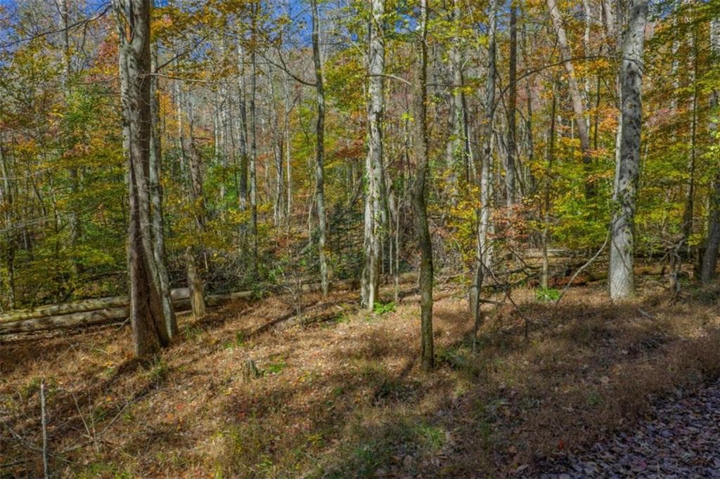 single family residence for sale at N/A Willard Mountain Road, Ellijay, GA 30513 — photo 7
