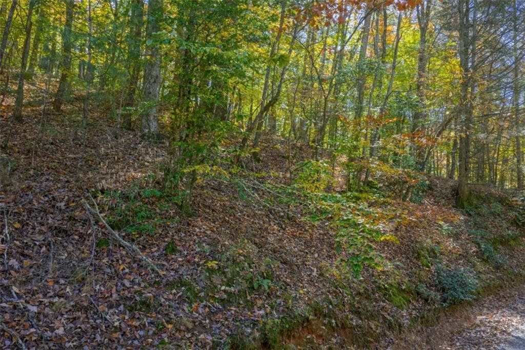 single family residence for sale at N/A Willard Mountain Road, Ellijay, GA 30513 — photo 8