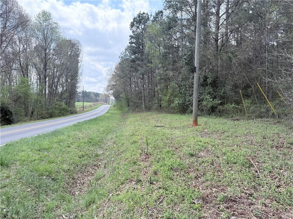 unimproved land for sale at 00 Old Columbus Road, Bowdon, GA 30108 — photo 2