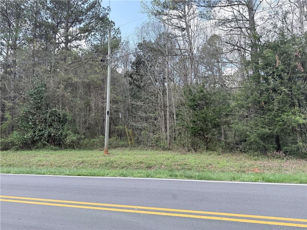 unimproved land for sale at 00 Old Columbus Road, Bowdon, GA 30108 — photo 3