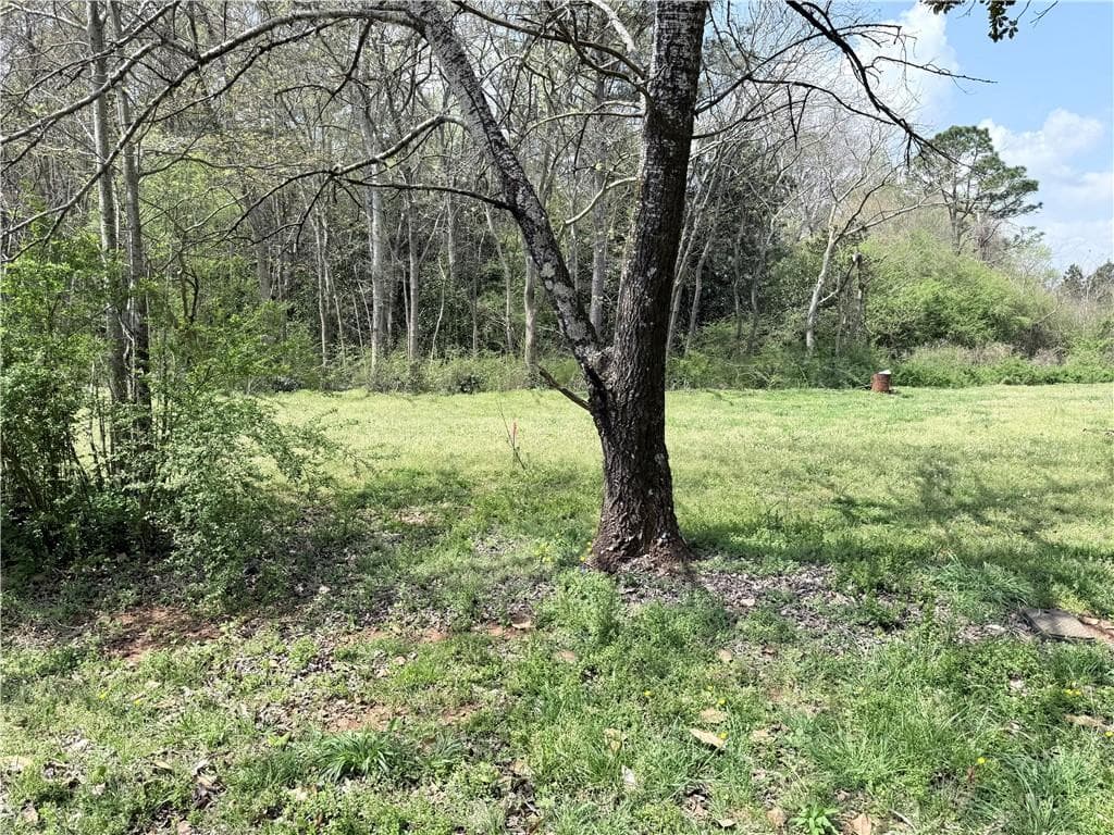 unimproved land for sale at 00 Old Columbus Road, Bowdon, GA 30108 — photo 4