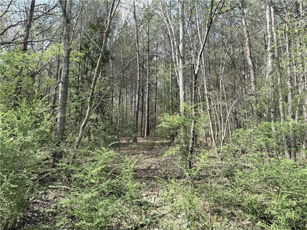 unimproved land for sale at 00 Old Columbus Road, Bowdon, GA 30108 — photo 5