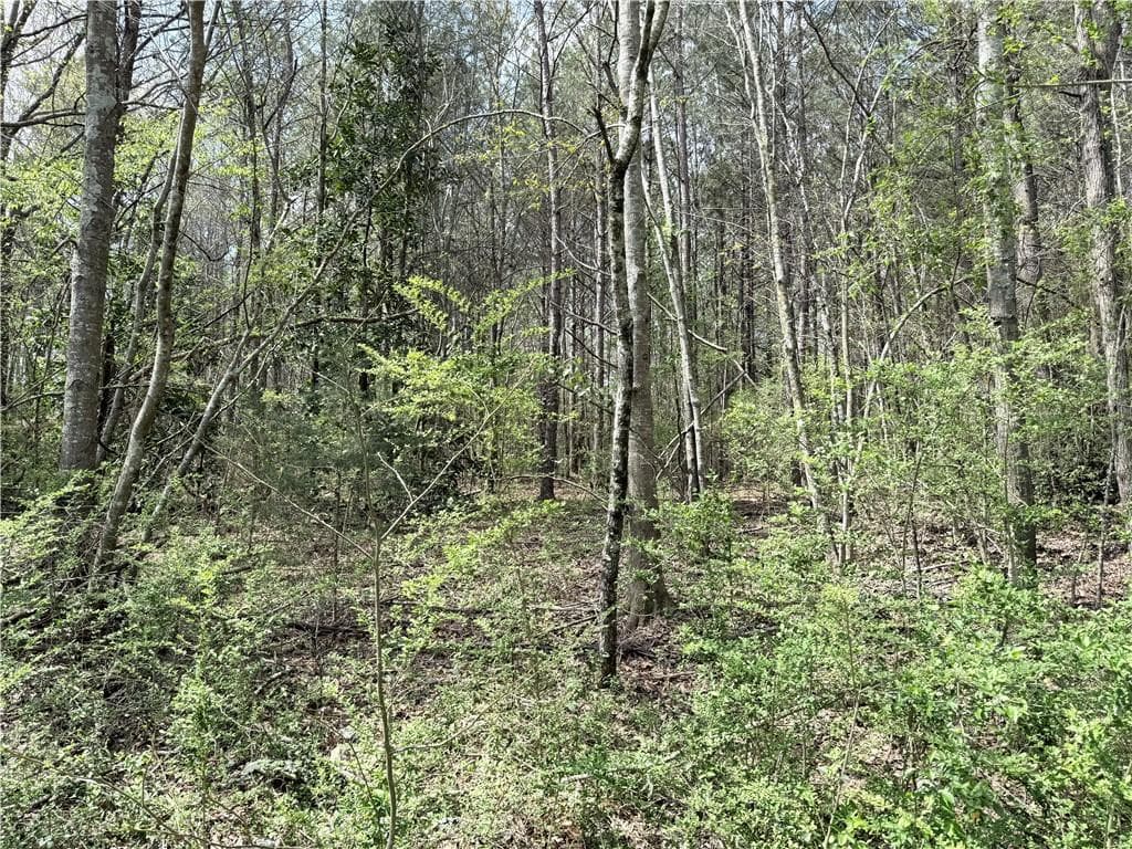unimproved land for sale at 00 Old Columbus Road, Bowdon, GA 30108 — photo 6