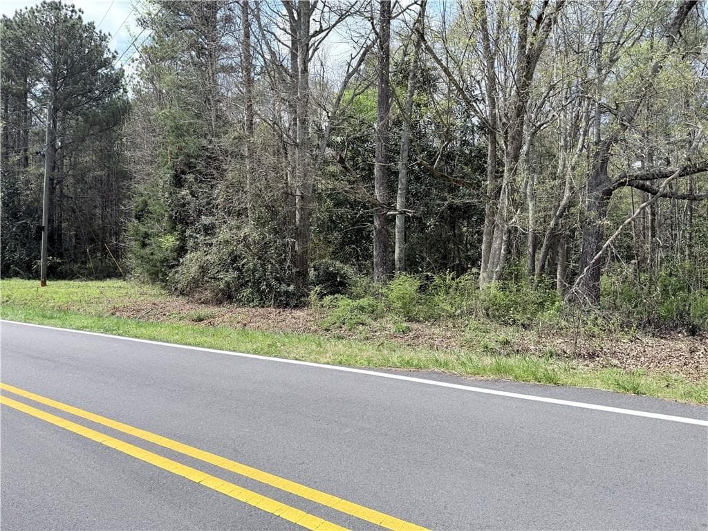 unimproved land for sale at 00 Old Columbus Road, Bowdon, GA 30108 — photo 7
