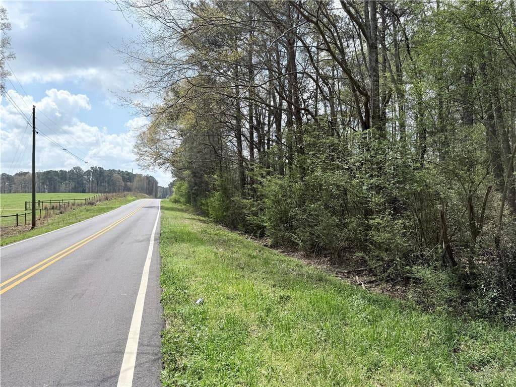 unimproved land for sale at 00 Old Columbus Road, Bowdon, GA 30108 — photo 9