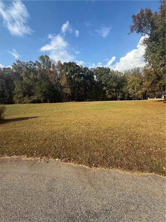 single family residence under contract at 210 River Meadow Lane, Social Circle, GA 30025 — photo 3