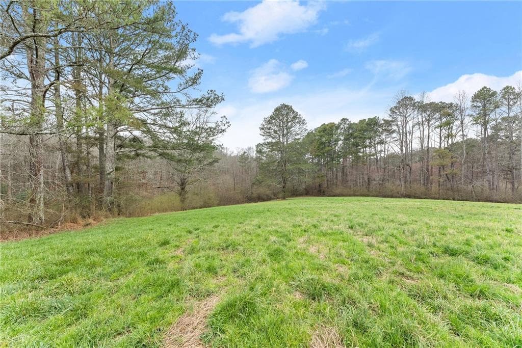 unimproved land for sale at 244 Town Creek Trail, Jasper, GA 30143 — photo 6