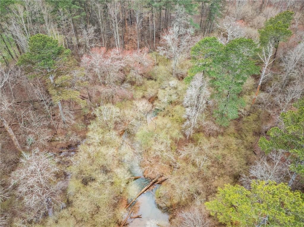 unimproved land for sale at 244 Town Creek Trail, Jasper, GA 30143 — photo 10