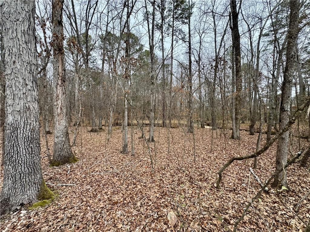single family residence for sale at 0 Brook Valley Court, Rome, GA 30165 — photo 5