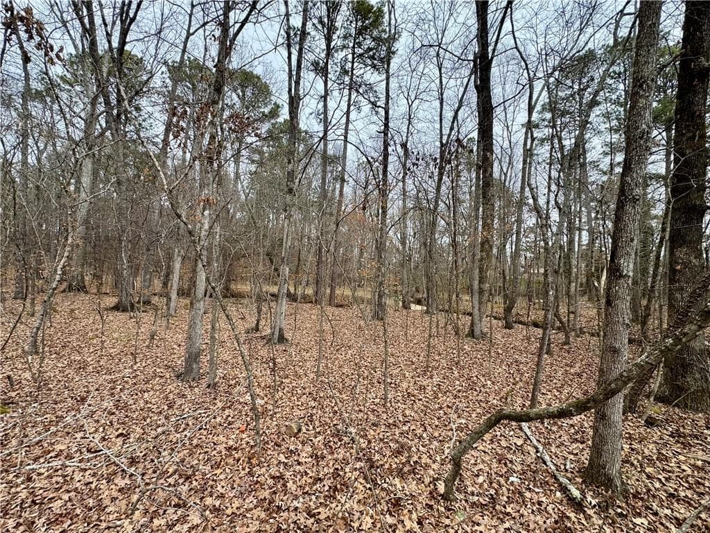 single family residence for sale at 0 Brook Valley Court, Rome, GA 30165 — photo 6