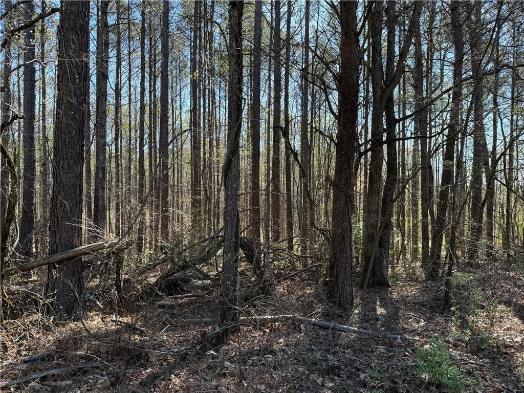 unimproved land for sale at 00 Henderson Mountain Road, Fairmount, GA 30139 — photo 2