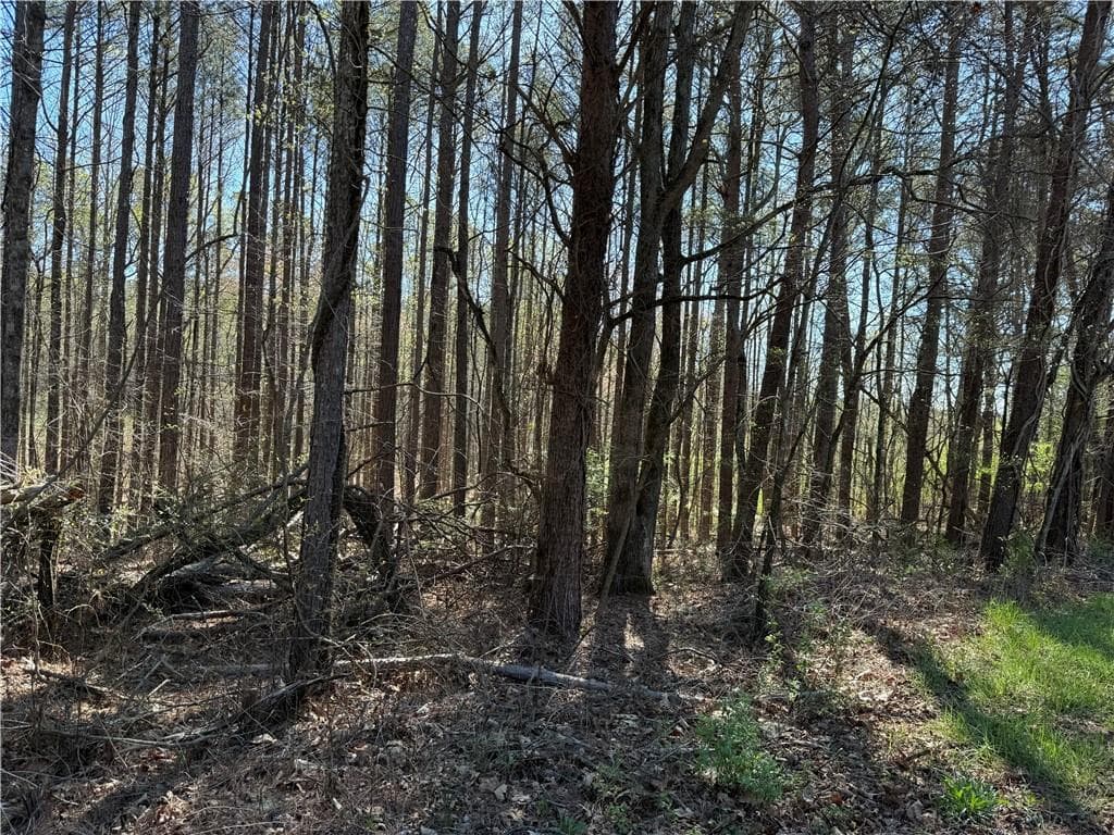 unimproved land for sale at 00 Henderson Mountain Road, Fairmount, GA 30139 — photo 3