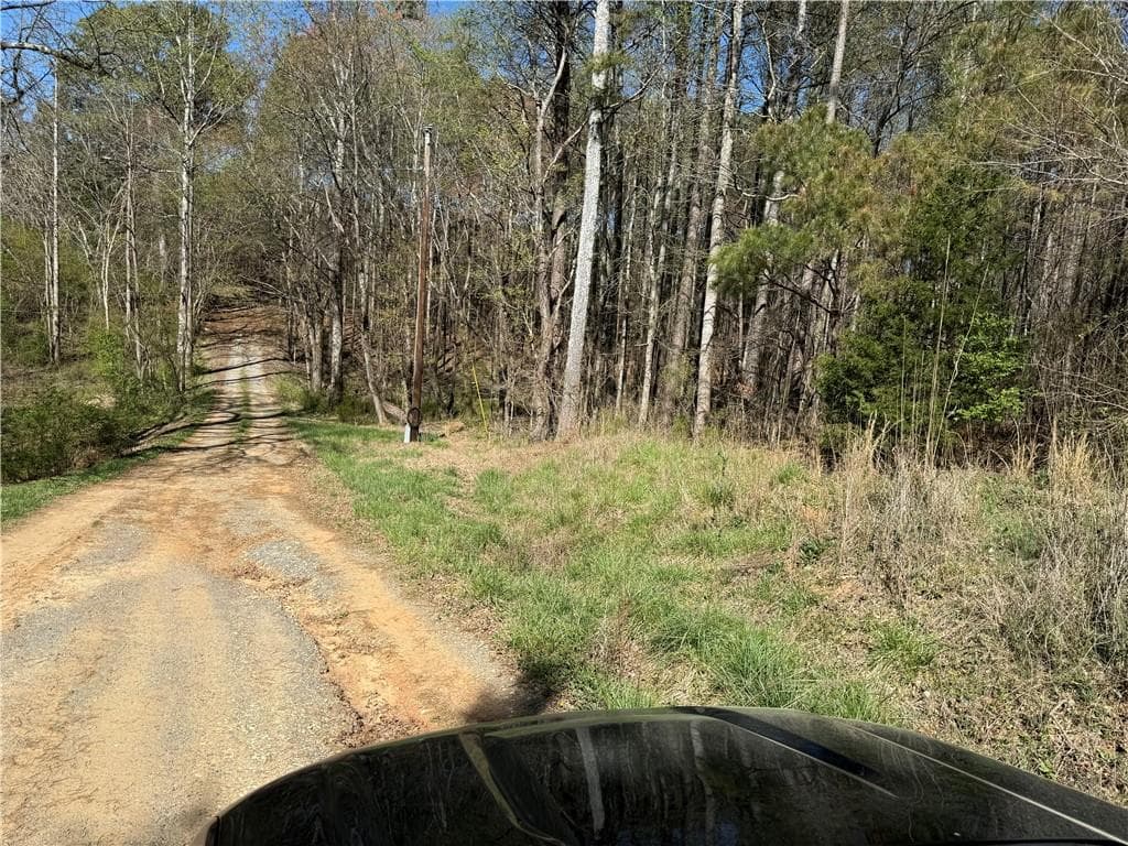 unimproved land for sale at 00 Henderson Mountain Road, Fairmount, GA 30139 — photo 4