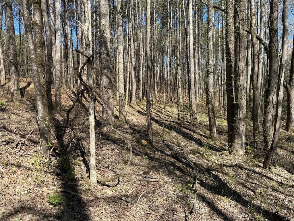 unimproved land for sale at 00 Henderson Mountain Road, Fairmount, GA 30139 — photo 5