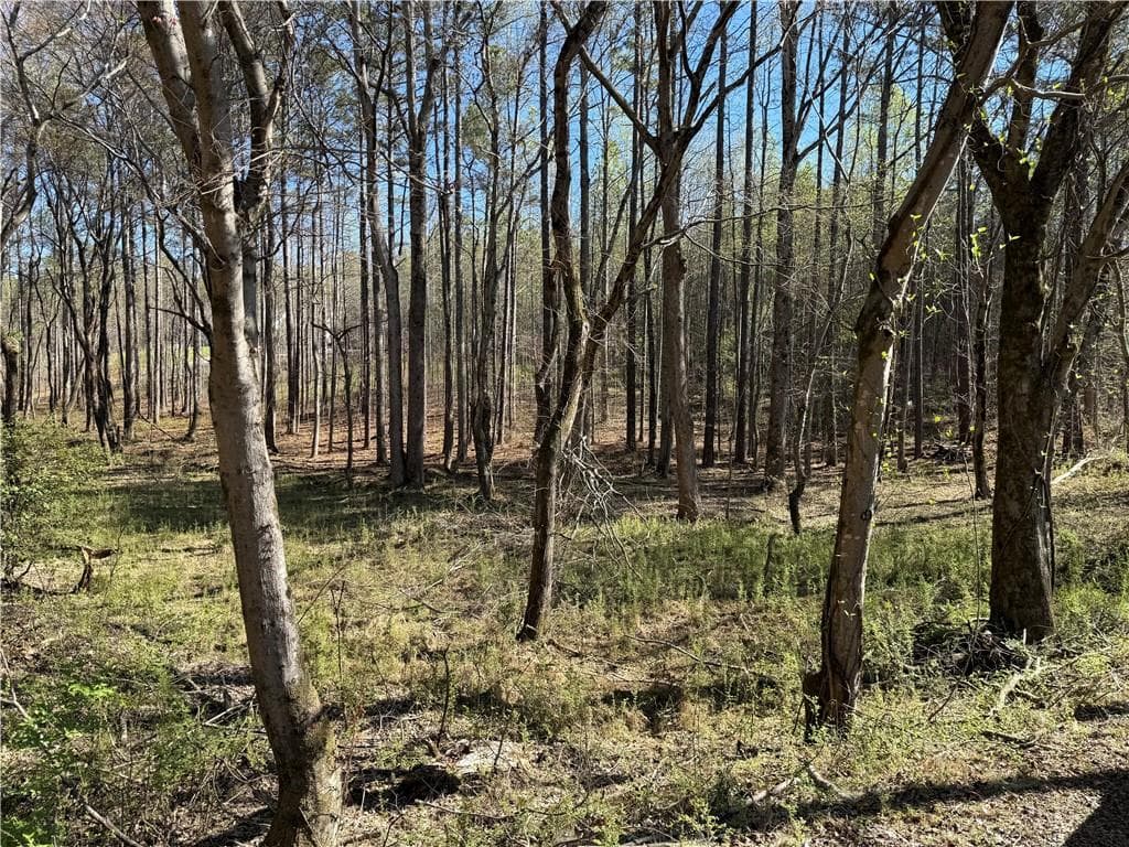 unimproved land for sale at 00 Henderson Mountain Road, Fairmount, GA 30139 — photo 6