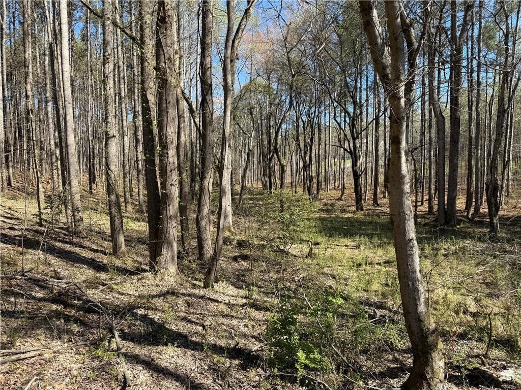 unimproved land for sale at 00 Henderson Mountain Road, Fairmount, GA 30139 — photo 7