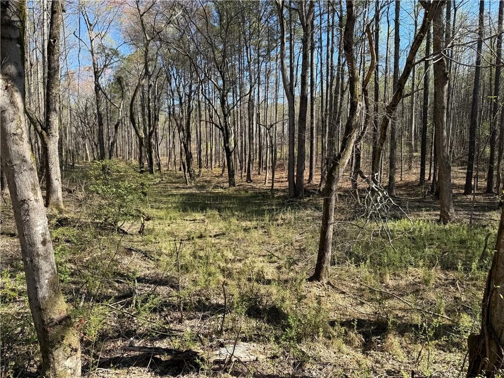 unimproved land for sale at 00 Henderson Mountain Road, Fairmount, GA 30139 — photo 8